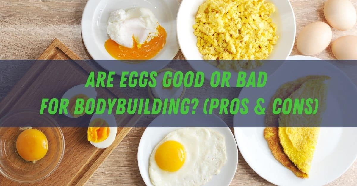 Workout Nutrition, Meal Prep, Diet Reviews