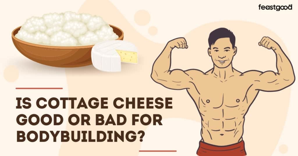 Is Cottage Cheese Good or Bad for Bodybuilding? (Pros & Cons