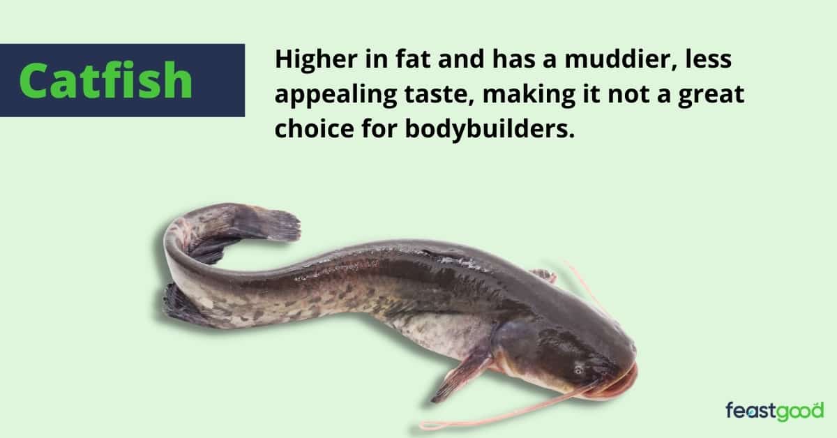 29 Best Fish For Bodybuilding (Ranked By Cheapest Option)
