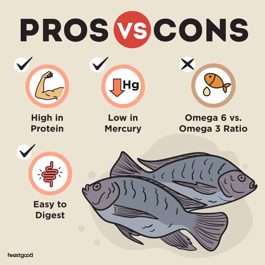 3 Reasons Why Tilapia Is Good For Bodybuilding (Plus, 1 Con