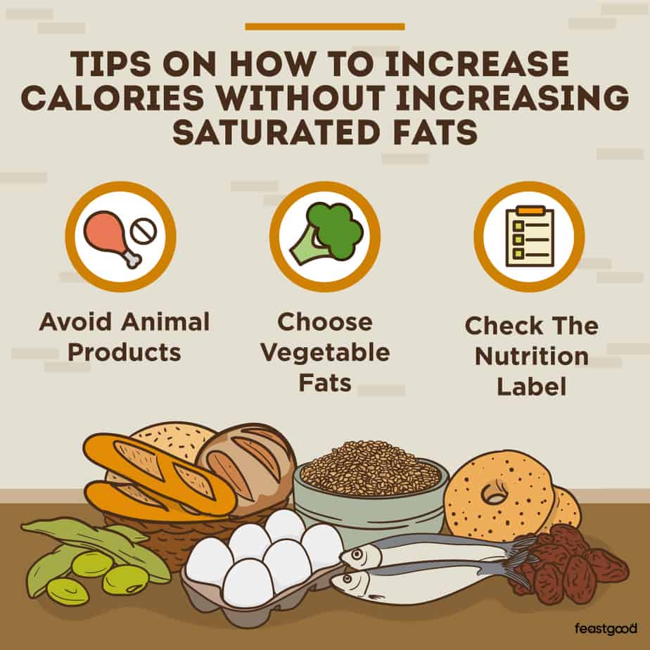 Top 10 Foods High In Calories But Low In Saturated Fats