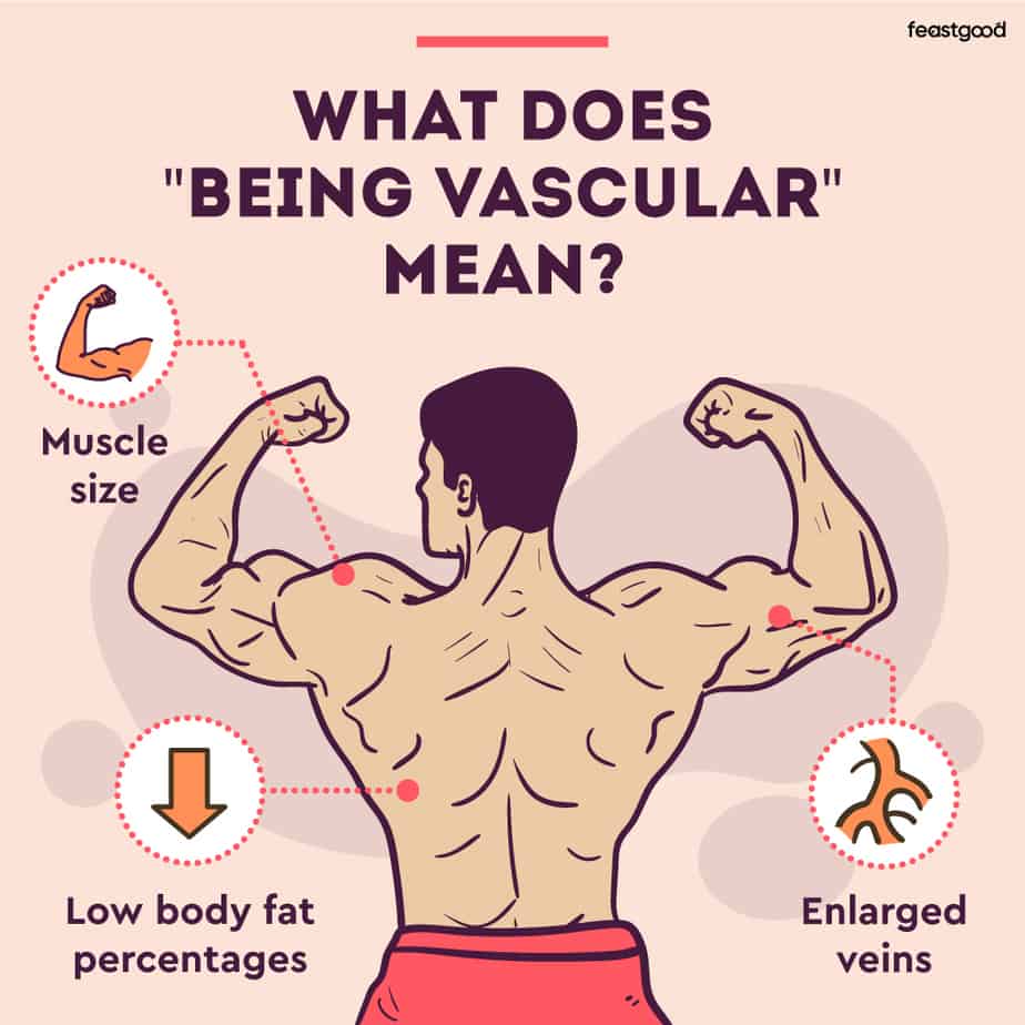 Does Creatine Make You More Vascular? (What Science Says)