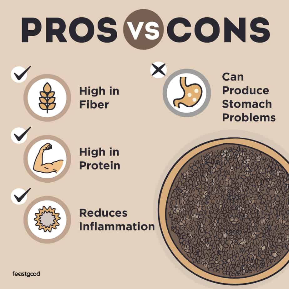 Are Chia Seeds Good or Bad For Bodybuilding? (Pros & Cons)