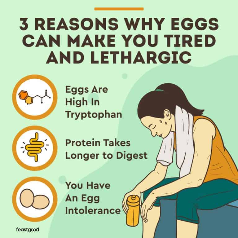 Eggs Make Me Tired & Lethargic 3 Reasons & How To Fix