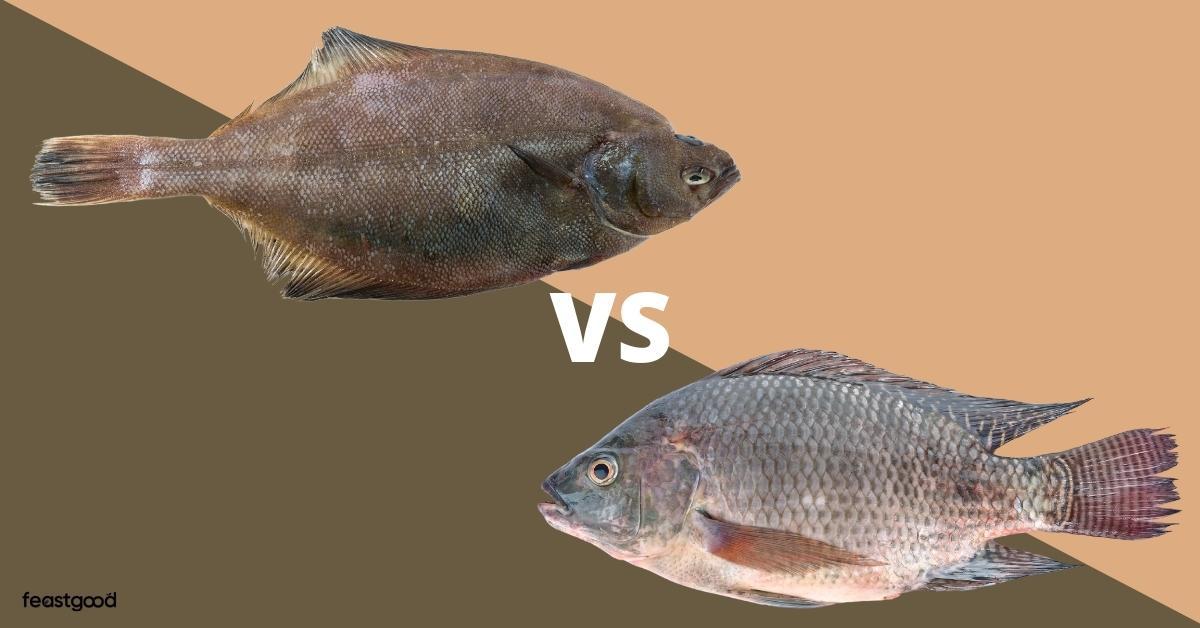 Flounder vs. Tilapia 6 Differences & Which Is Better?