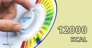 Christopher Schwarzeneggers Long, Steady Weight Loss Journey Excl