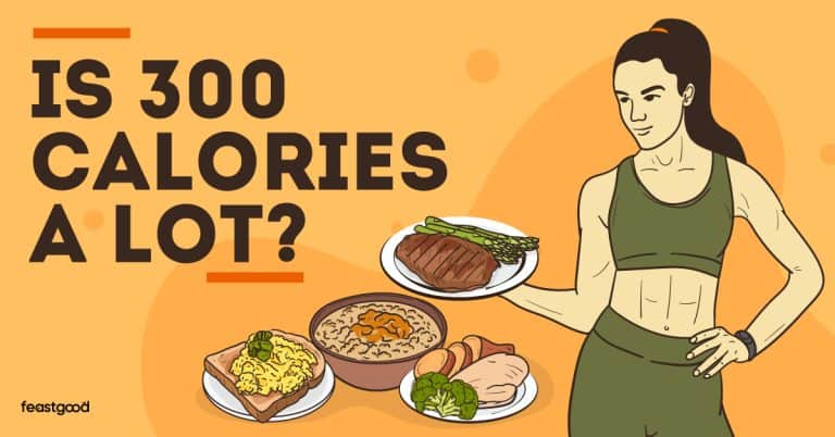 Is 300 Calories A Lot A Nutritionist Explains FeastGood