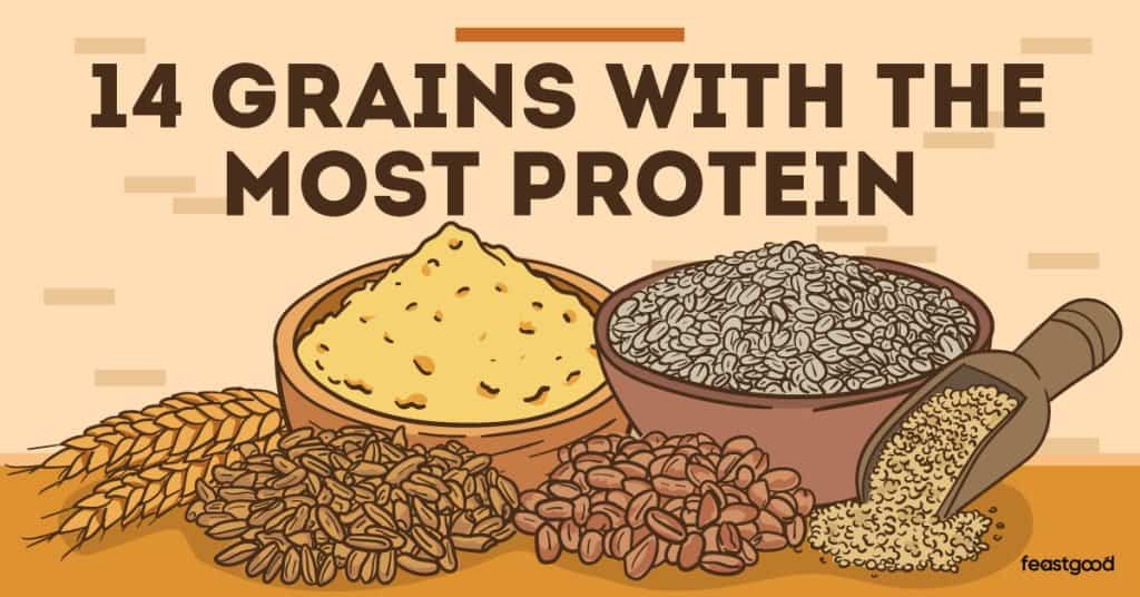 14 Grains With The Most Protein List)