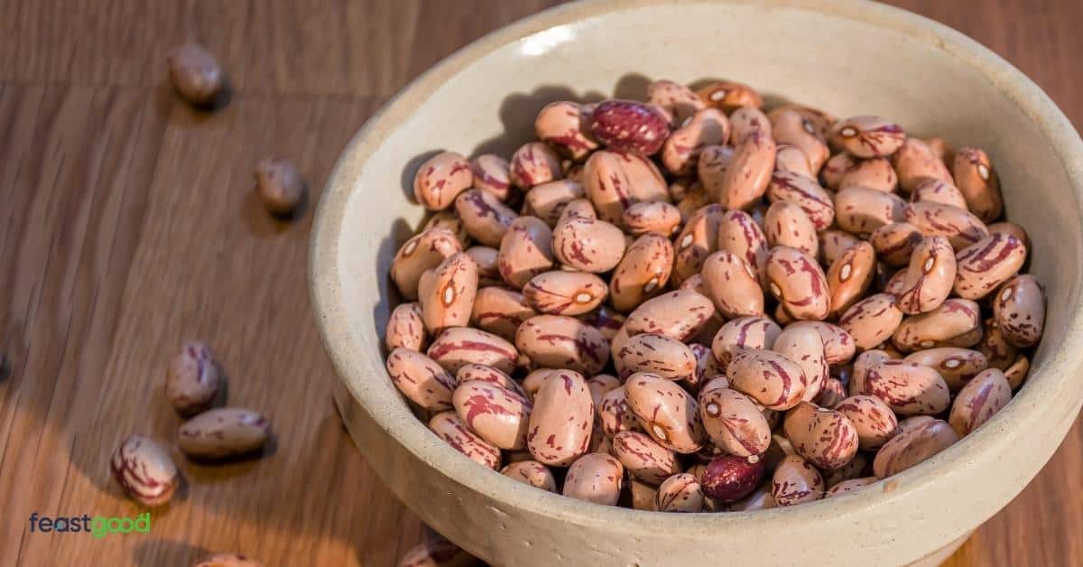 15 Beans & Legumes With The Most Protein List)