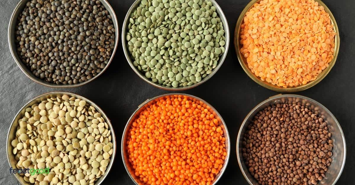 15 Beans & Legumes With The Most Protein List)