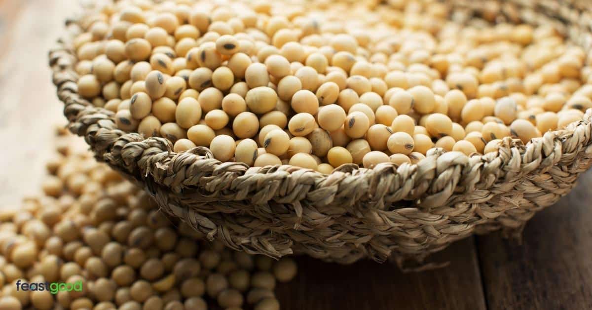 15 Beans & Legumes With The Most Protein List)
