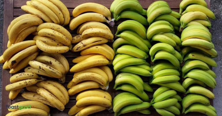 10 Best Low-Calorie High-Carb Foods (As Rated By Dietitian) - FeastGood.com