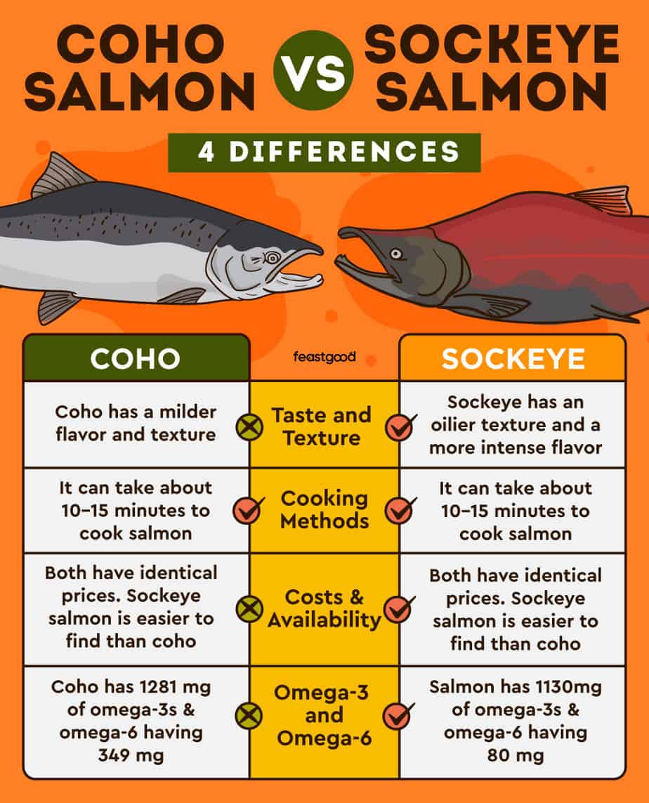 Coho vs Sockeye Salmon What Are The Differences?