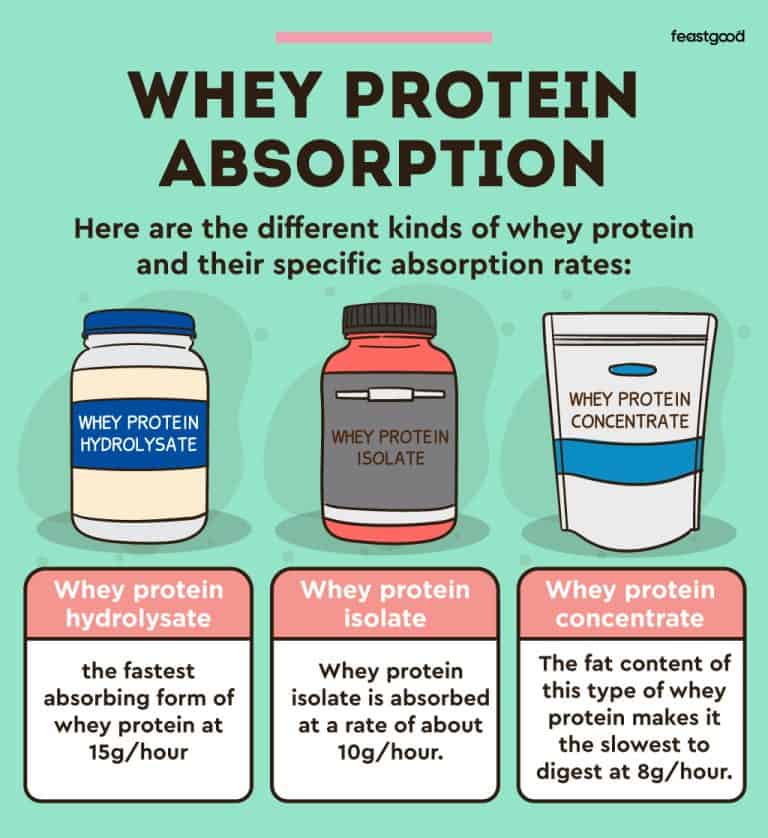How Long Does Whey Protein Take To Digest + Why It Matters