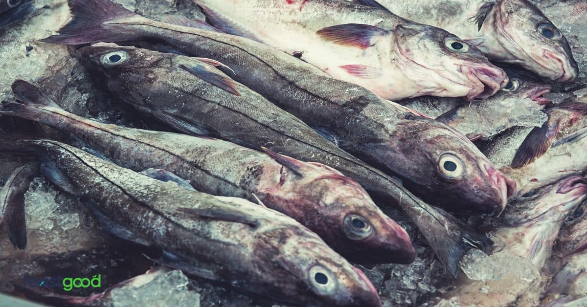 Top 50 Highest Protein Foods Per 100g (Infographic)