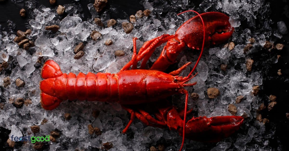 Top 50 Highest Protein Foods Per 100g (Infographic)