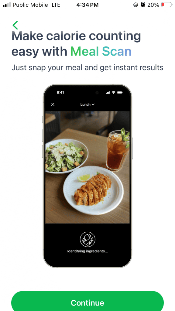 Phone screen showing Meal Scan onboarding with a lunch image; bottom shows 'Identifying ingredients...' .