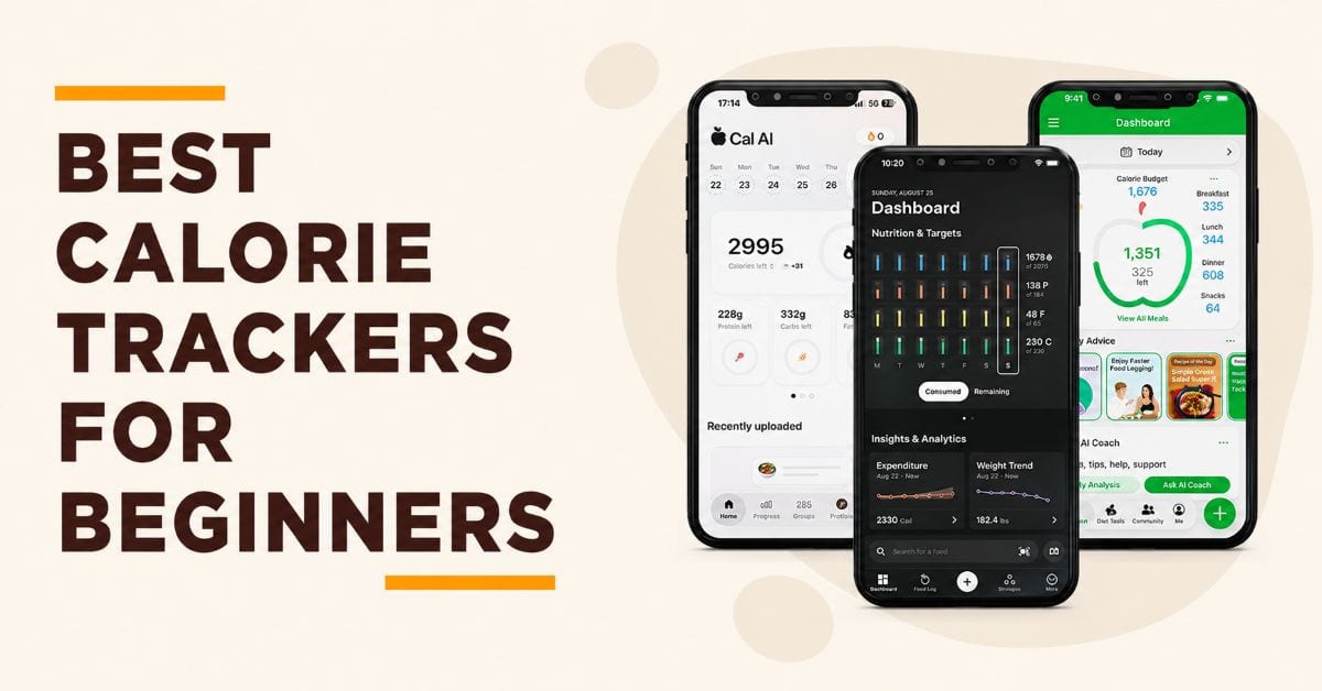 Best Calorie Trackers For Beginners