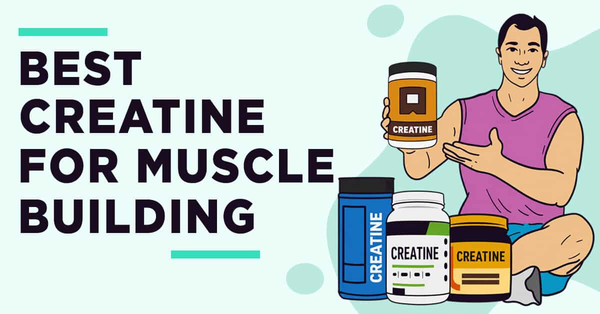 Creatine for Muscle Building - FeastGood.com Promotional banner for creatine supplements with a muscular man holding a creatine bottle and three containers beside him, advertising 'Best Creatine for Muscle Building'.